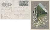 Briefmarken 5 Pfennig Togo Präge-AK Geburtstag Ho 4.01.10 Paar Illinois USA / 78 -