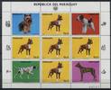 Briefmarken Paraguay Hunde Dogs Haustiere Pets 3715 Kleinbogen Postfrisch MNH -