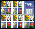 Briefmarken USA 2014 Winter Blumen Flowers Blüten Blossoms Markenheft MNH -