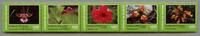 Briefmarken Ecuador Blumen Orchideen Enzian Lilien Blüten Pflanzen 3756-3760 MNH -