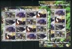 Briefmarken Togo Schildkröten Turtles WWF 3337-40 ZD-Kleinbögen MNH -