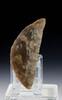 Ancient art An exquisite Danish Neolithic Flint Sickle, 2400-2000 BC! -