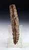 Ancient art Rare & Superb Danish neolithic daggeraxe, 3500-3000 BC! -
