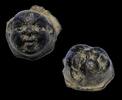 Ancient art Gallo-Roman bronze head of Bacchus, c. 1st. century AD. -