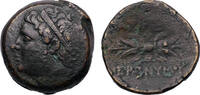 Ancient coins Specialist Greek Syracuse collection: Fine medium portrait bronze of Hieronymos. 215-214 BC. - S! -