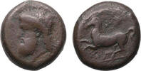 Ancient coins Specialist Greek Syracuse collection: Timoleon and the Third Democracy. 344-317 BC. Ã Dilitron - Scarce! -