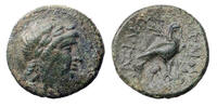Ancient coins SELEUKID KINGS of SYRIA. Achaios. Usurper, 220-214 BC. AE - scarce ruler! -