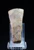 Ancient art A nice, polished Danish Neolithic Daggertime Axe, 2200-1800 BC -
