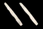 Ancient art Large near mint Danish Neolithic Chisel, stoneage 3rd. mill. BC -