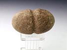 Ancient art Danish Neolithic Battle Mace, Single Grave Period, 2800-2400 BC -