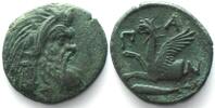 Pantikapaion CIMMERIAN BOSPOROS. Pantikapaion, AE 22mm 310-303 BC, Pan / griffin sturgeon AU! -