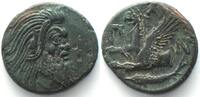 Pantikapaion CIMMERIAN BOSPOROS. Pantikapaion, AE 22mm 310-303 BC, Pan / griffin sturgeon XF -
