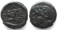 Pantikapaion CIMMERIAN BOSPOROS. Pantikapaion, AE 21mm 310-304 BC, Pan / lion & sturgeon, AU! -