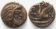 Pantikapaion CIMMERIAN BOSPOROS. Pantikapaion, AE 20mm 310-303 BC, Pan / griffin sturgeon XF! -