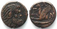 Pantikapaion CIMMERIAN BOSPOROS. Pantikapaion, AE 21mm 310-303 BC, Pan / griffin sturgeon XF! -