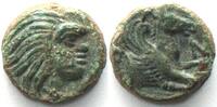 Pantikapaion CIMMERIAN BOSPOROS. Pantikapaion, AE 14mm 325-310 BC, Pan / Pegasos, XF -