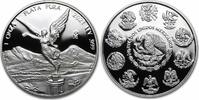 Mexico 1 Onza 2021 1 OZ Silber PP Libertad 2021 Polierte Platte Mexico P... 119,00 EUR99,00 EUR  + 20,00 EUR frais d'envoi