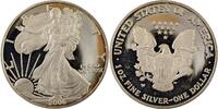 USA 1 Dollar American Silver Eagle -