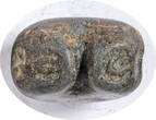 THAILAND Bullet Unit (3 Baht) ca. 1238-1361 Kingdom of Sukothai. Zinc-Lead Bullet (3 Baht) Unit. VF