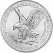 Vereinigte Staaten 1 Dollar Pièce d