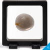 Deutschland Lighthouse floating frame Magic Frame 55x55 mm for jewelry coins banknotes etc. -