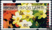 Österreich 2012 Automatenmarke ** - € 0,62 - Schlüsselblumen: SONDERPOSTAMT -