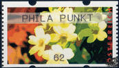 Österreich 2012 Automatenmarke ** - € 0,62 - Schlüsselblumen: PHILA PUNKT -