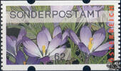 Österreich 2015 Automatenmarke ** - € 0,62 - Druckzylinder-Überlauf - Krokus: SONDERPOSTAMT -