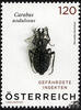Österreich 2024 ** - € 1,20 - Käfer, Crabus nodulosus -
