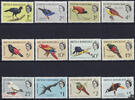 Honduras Britisch Honduras 1962 ** - Vögel -