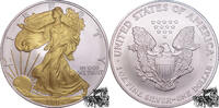 Vereinigte Staaten 1 Dollar 1 Dollar 2004 Eagle, Goldapplikation -