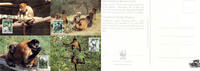 Honduras Honduras 1990 FDC - 2x0,10 + 2x0,20 L - Weltweiter Naturschutz: Geoffroy-Klammeraffe - Satz - Maximumkarten -