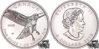 Kanada 5 Dollar 5 Dollar 2015 - Rotschwanzbussard -