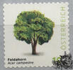 Österreich Österreich 2025 o - € 0,10 RM Feldahorn - Acer campestre -