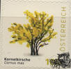 Österreich Österreich 2025 o - € 1,00 BM Kornelkirsche - Cornus mas -
