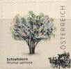 Österreich Österreich 2025 ** - € 1,55 BM Schlehdorn - Prunus spinosa -