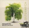Österreich Österreich 2025 o - € 1,55 BM Hängebirke - Betula pendula -