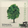 Österreich Österreich 2025 o - € 3,10 BM Schwarzerle - Alnus glutinosa -