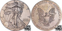 Vereinigte Staaten 1 Dollar 1 Dollar 2017 - Eagle -