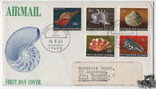 Unbekannt  Papua-Neuguinea 1968 FDC - Muscheln