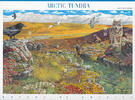 Vereinigte Staaten USA 2003 ** - Arktische Tundra, Amerikanische Naturlandschaften (V) -