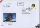 Österreich Österreich 2025 FDC - € 1,20 BM Waldkiefer - Pinus sylvestris -