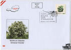 Österreich Österreich 2025 FDC - € 1,90 BM Schwarzer Holunder - Sambucus nigra -