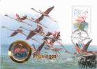 1 Peso Numisbrief 1994 - Flamingos -