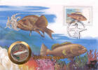 1 Peso Numisbrief Kuba - Zackenbarsch -
