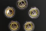 Deutschland 5x 5 Euro Klimazonen: Subropische Zone, 5 Münzen mit Polymer-Ring in Pappfolder -