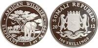 Somalia 100 Shillings - Elephant, African Wildlife, 1 Unze Silber -