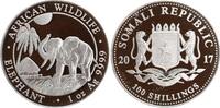 Somalia 100 Shillings - Elephant, African Wildlife, 1 Unze Silber -