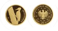 Deutschland 20 Euro BRD, Heimische Vögel - Schwarzspecht, in Münzkapsel mit Zertifikat -