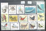 Australien Tiere -